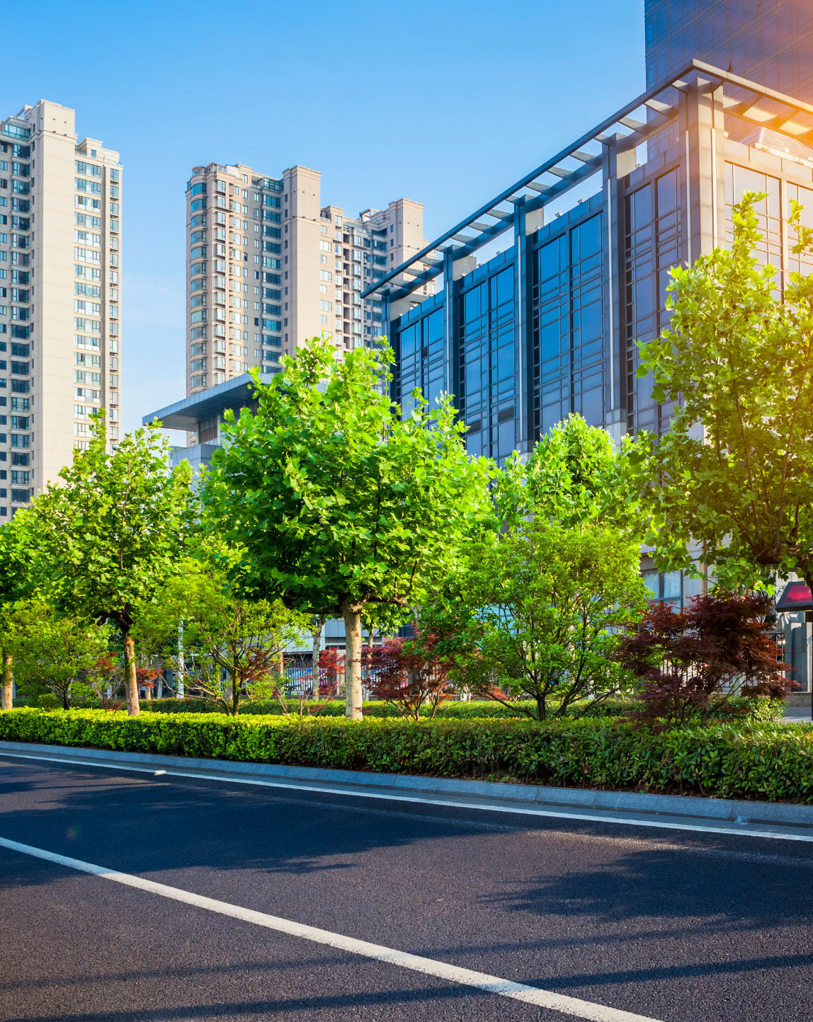 Green city view